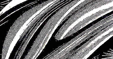 The 66.5% Illusion: Why Prediction Markets Can't Predict Anything